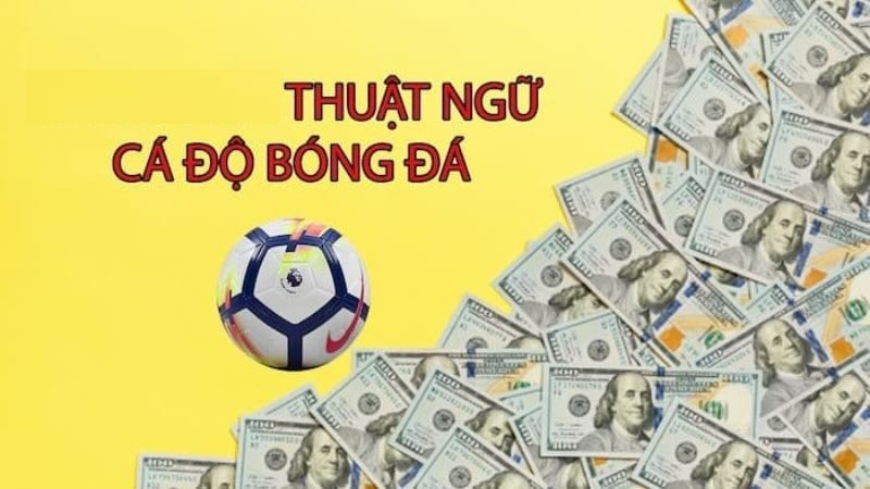 Những lợi ích khi sử dụng tỷ lệ cá cược trong cá độ bóng đá